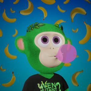 baby_apes: 1589