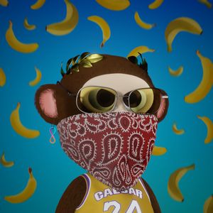 baby_apes: 1166