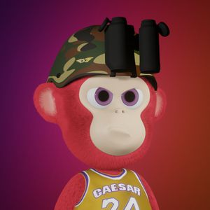baby_apes: 1574