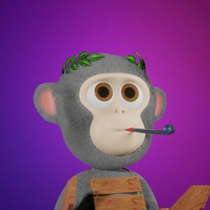 baby_apes: 1692